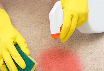 How To Remove Stains From Carpet, Concord